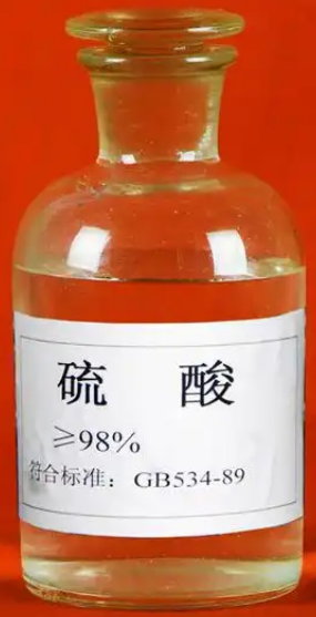 1747377206167.jpg