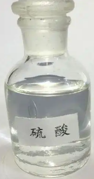 1747635777763.jpg